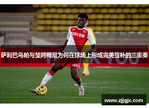 萨利巴乌帕与楚阿梅尼为何在球场上形成完美互补的三重奏